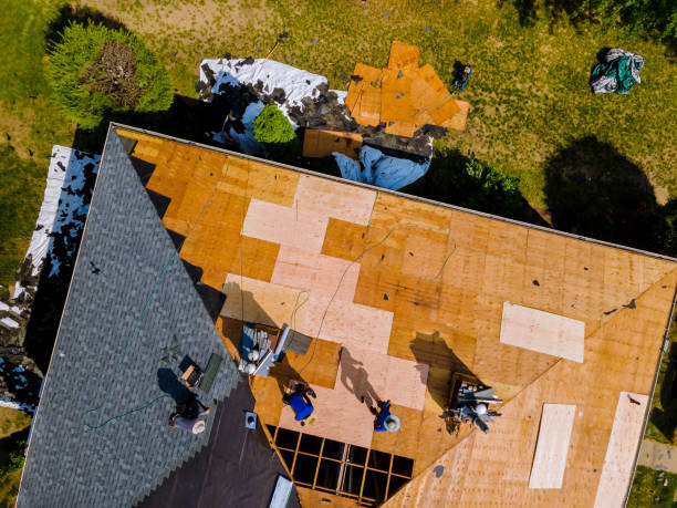 Best Metal Roofing Contractor  in Thomasboro, IL