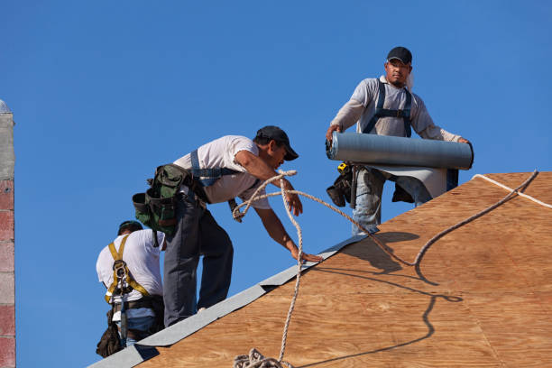 Best Storm Damage Roof Repair  in Thomasboro, IL