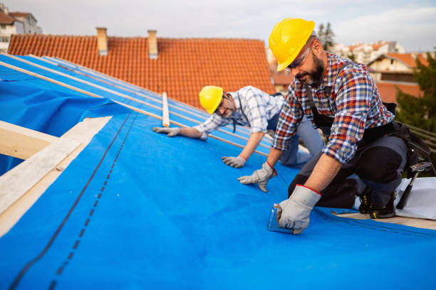 Best Flat Roof Repair Services  in Thomasboro, IL