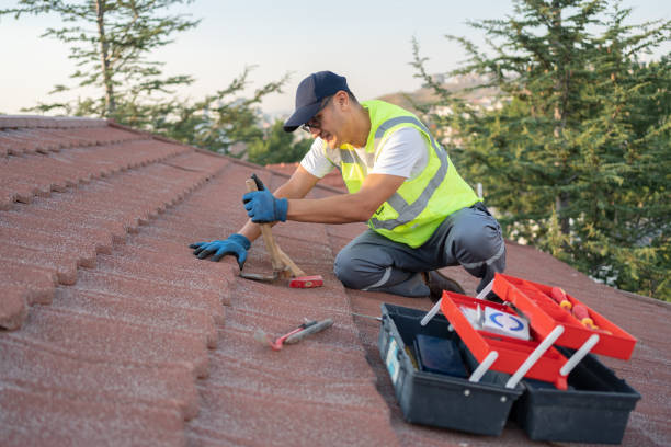 Sealant for Roof in Thomasboro, IL