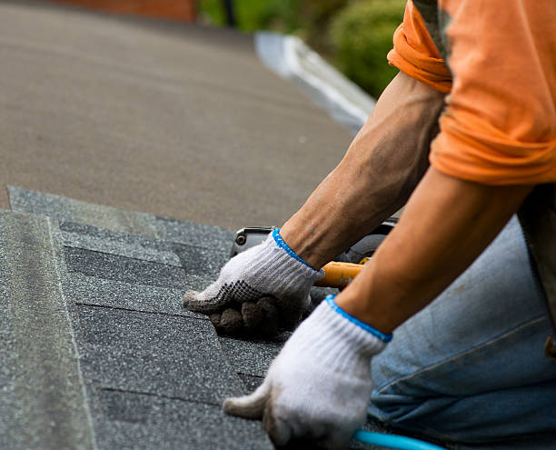 Best New Roof Installation  in Thomasboro, IL