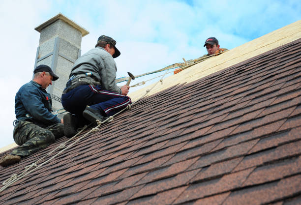Best Commercial Roofing Services  in Thomasboro, IL