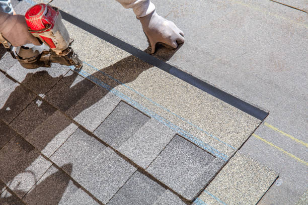 Best Roof Gutter Cleaning  in Thomasboro, IL