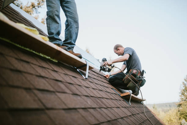 Quick and Trustworthy Emergency Roof Repair Services in Thomasboro, IL