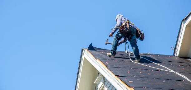 Best Residential Roofing Contractor  in Thomasboro, IL